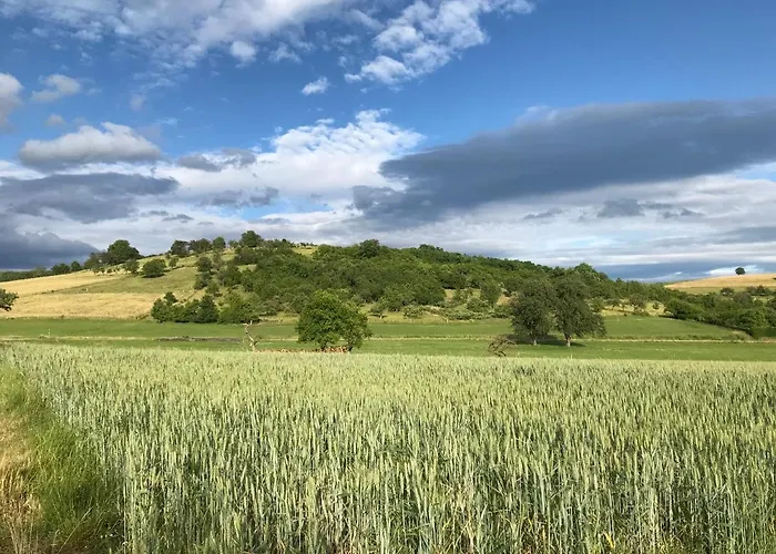 Guest house L'ancienne Distillerie 3*